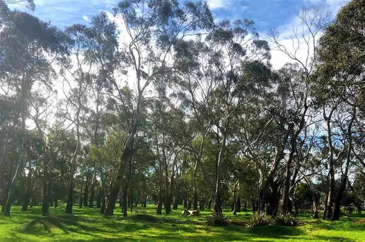 Fourth view of Homely land listing, Lot 3/ Church Street, Hawkesdale VIC 3287