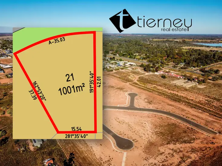 156 Summer Drive, Gol Gol NSW 2738