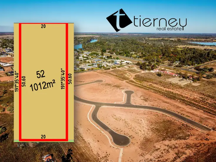 161 Summer Drive, Gol Gol NSW 2738
