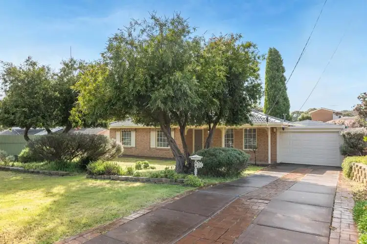 Main view of Homely house listing, 101 Hamilton Road, Fairview Park SA 5126