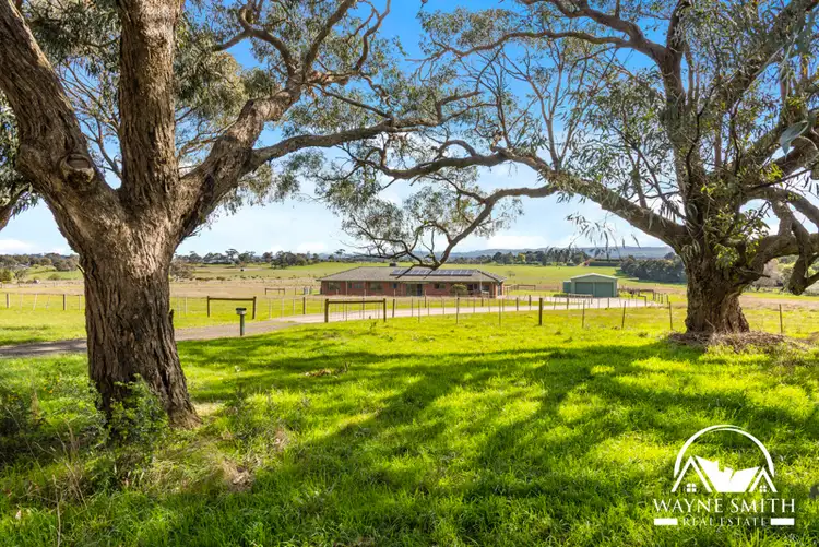 Main view of Homely house listing, 29 Kellys Lane, Kilmore VIC 3764