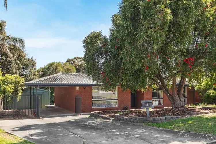 Main view of Homely house listing, 16 Mowbray Crescent, Fairview Park SA 5126