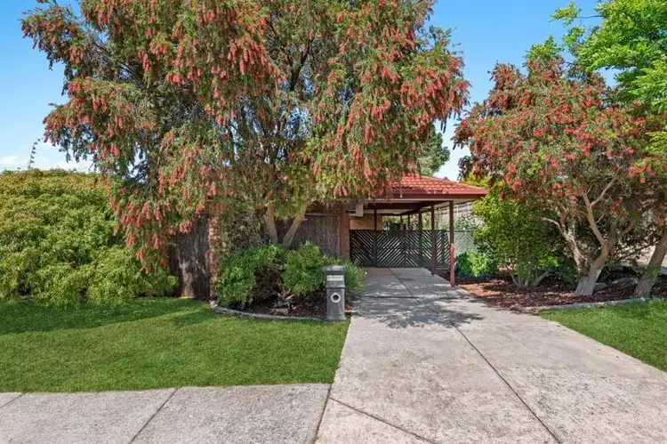 Main view of Homely house listing, 5 Crouchen Court, Wynn Vale SA 5127