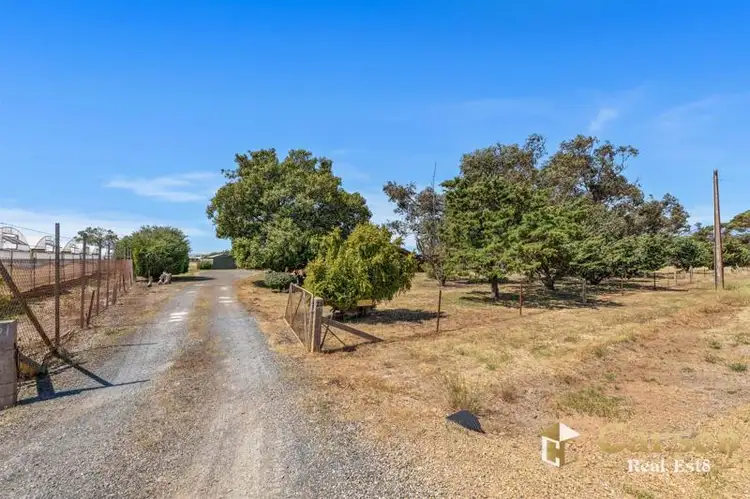 Third view of Homely rural property listing, 25 Mingara Road, Virginia SA 5120
