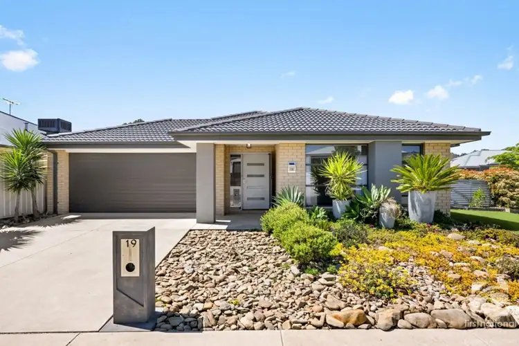 Main view of Homely house listing, 19 Cardiff Drive, Wodonga VIC 3690