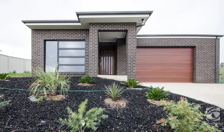 Main view of Homely house listing, 8 Anglesey Street, Wodonga VIC 3690