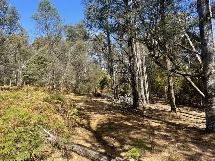 Lot 1 Judds Creek Road, Judbury TAS 7109