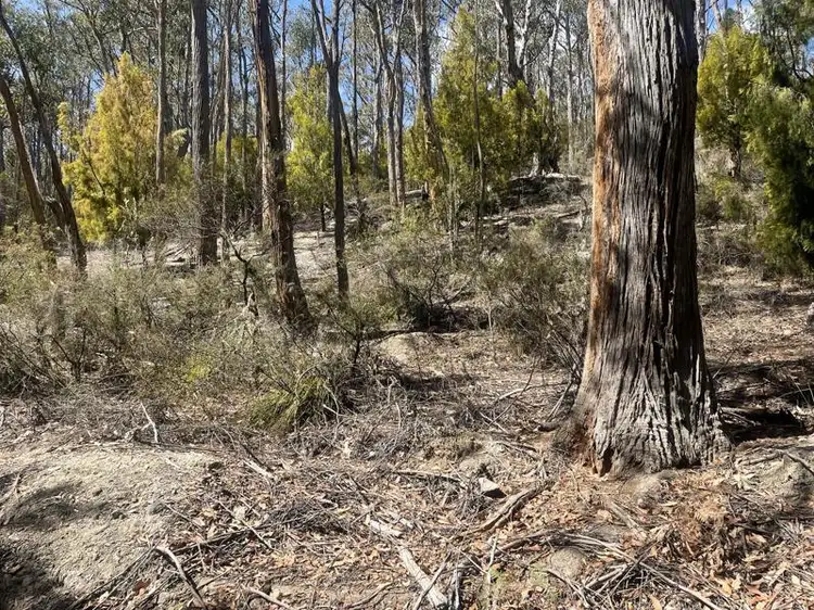 Third view of Homely land listing, Lot 1 Judds Creek Road, Judbury TAS 7109