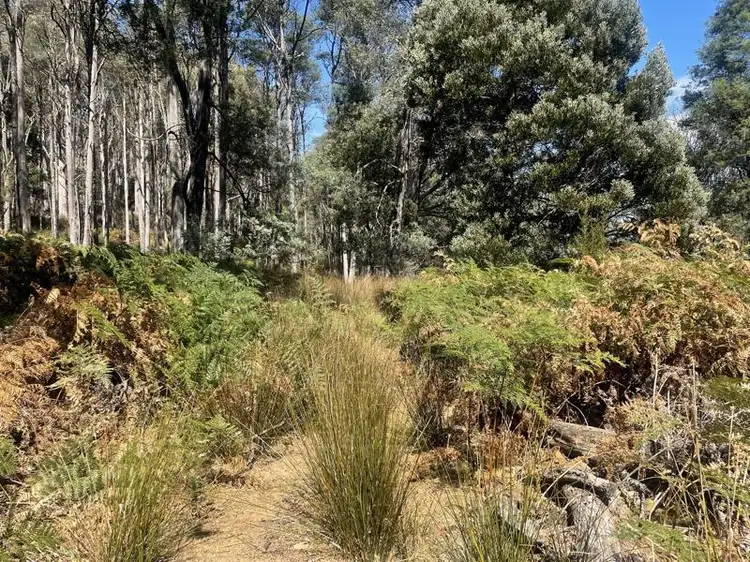 Fourth view of Homely land listing, Lot 1 Judds Creek Road, Judbury TAS 7109
