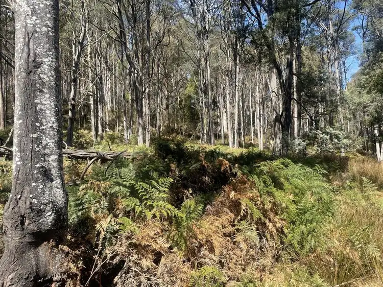 Fifth view of Homely land listing, Lot 1 Judds Creek Road, Judbury TAS 7109
