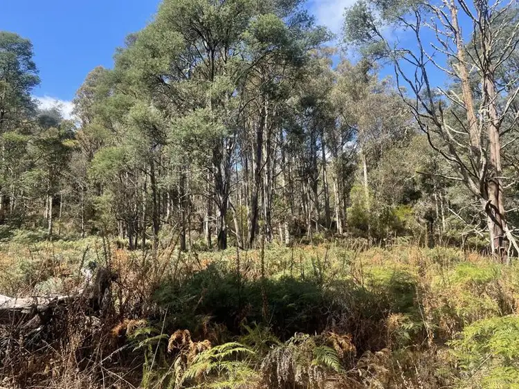 Sixth view of Homely land listing, Lot 1 Judds Creek Road, Judbury TAS 7109