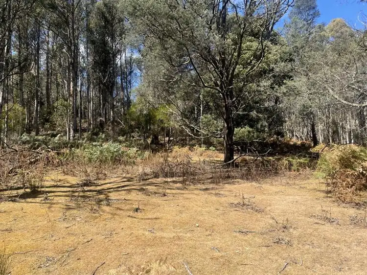 Seventh view of Homely land listing, Lot 1 Judds Creek Road, Judbury TAS 7109