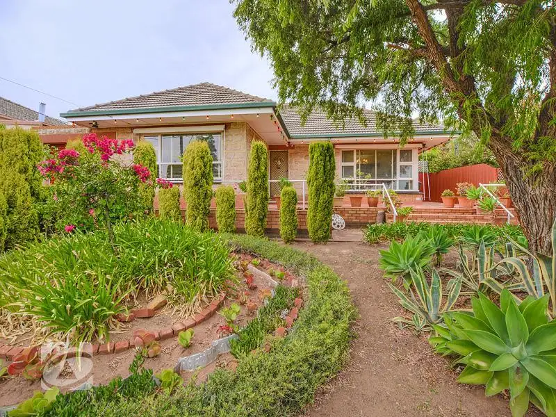 Main view of Homely house listing, 36 Amber Avenue, Clearview SA 5085