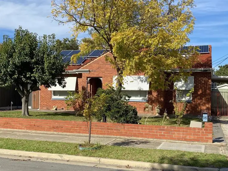 16 McLachlan Avenue
