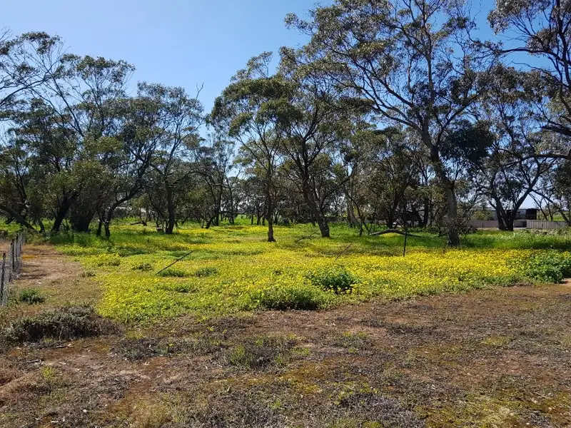 Main view of Homely land listing, 9 Coomberdale East Road, Coomberdale WA 6512