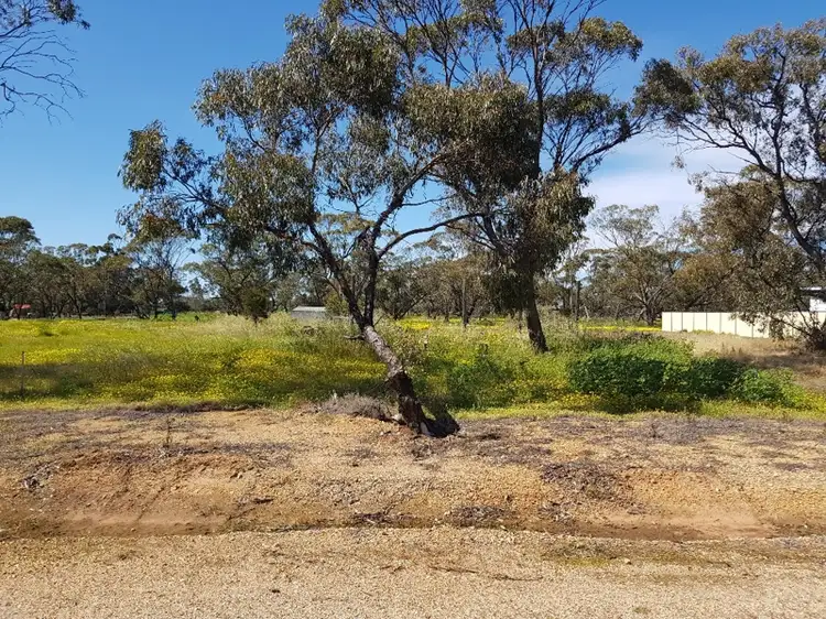 27 Pryre Street, Coomberdale WA 6512