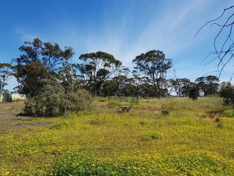 Second view of Homely land listing, 27 Pryre Street, Coomberdale WA 6512