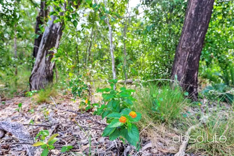 Fourth view of Homely land listing, Lot 1959, 80 Lee Moyes Road, Berry Springs NT 838