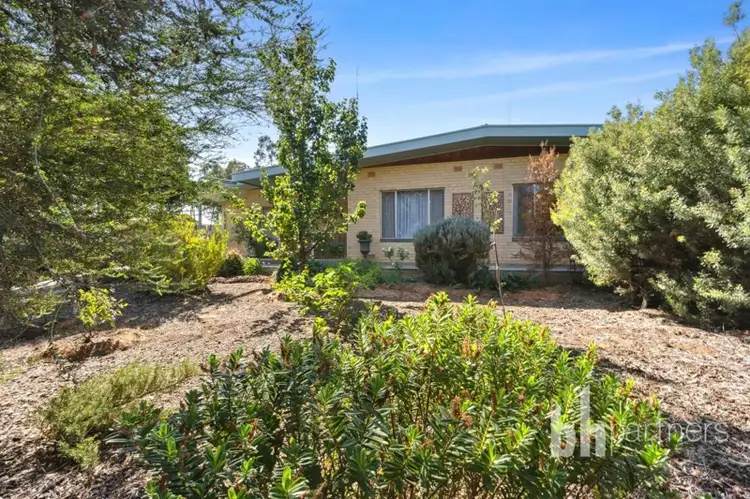 Second view of Homely townhouse listing, 16 McMillan Street, Loxton SA 5333