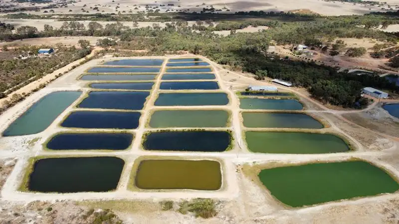 Main view of Homely house listing, 1588 Cantabilling Road, Jurien Bay WA 6516