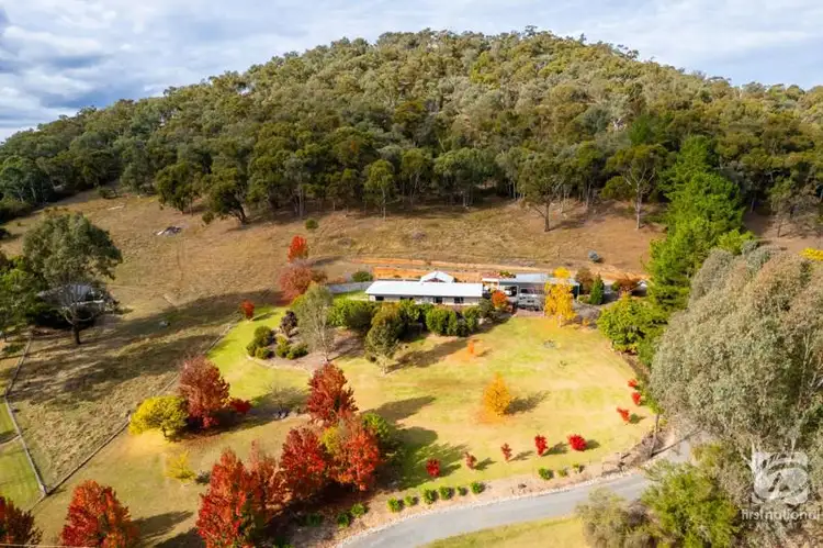 339 Buffalo River Road