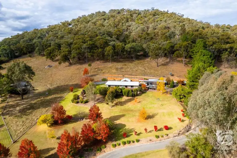 Main view of Homely house listing, 339 Buffalo River Road, Myrtleford VIC 3737