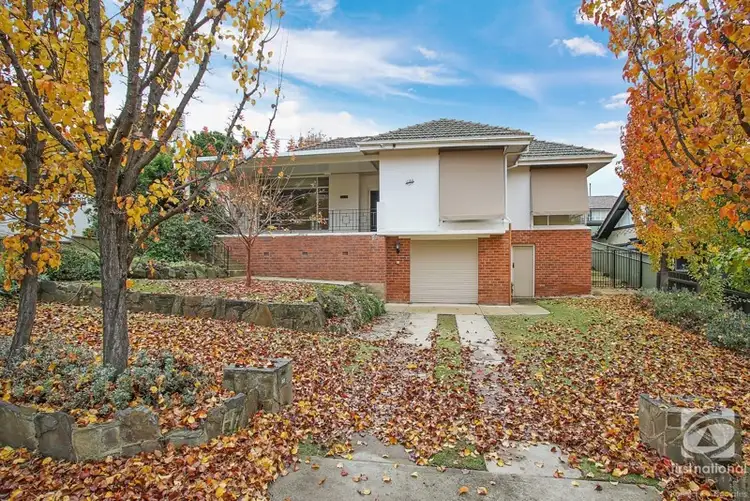 Main view of Homely house listing, 630 Lindsay Avenue, Albury NSW 2640