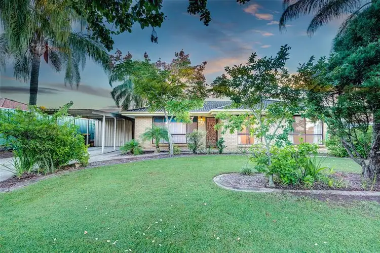 277 Daw Road, Runcorn QLD 4113