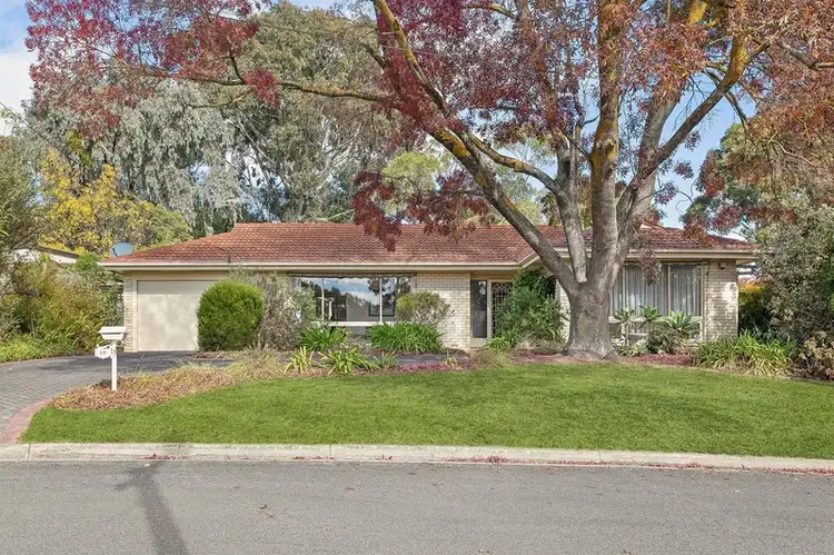 10 Patricia Street, Coromandel Valley SA 5051