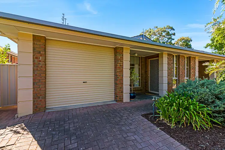 16 Morianne Avenue, Panorama SA 5041