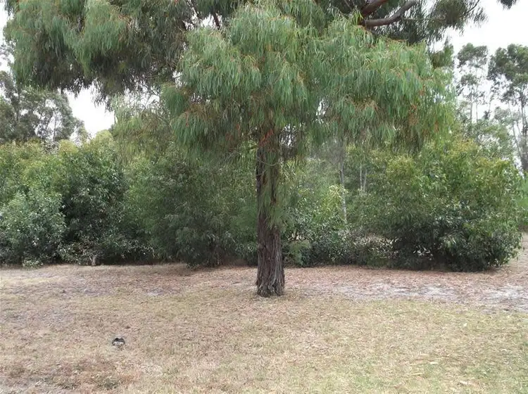 Seventh view of Homely house listing, 31 Renmark Road, Kendenup WA 6323