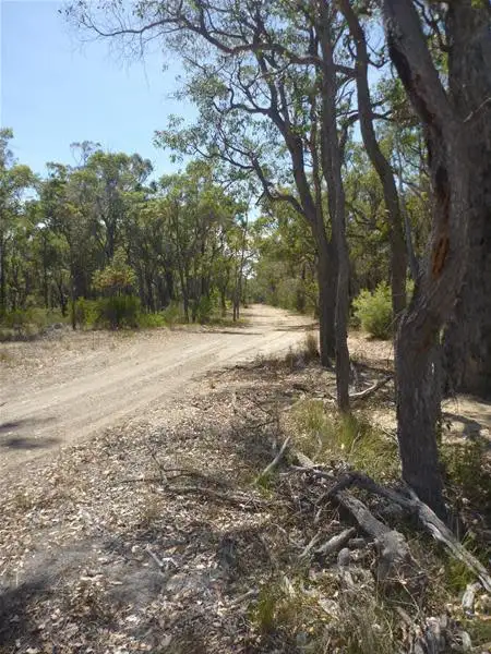 Lot 667 Horne Road, Mount Barker WA 6324