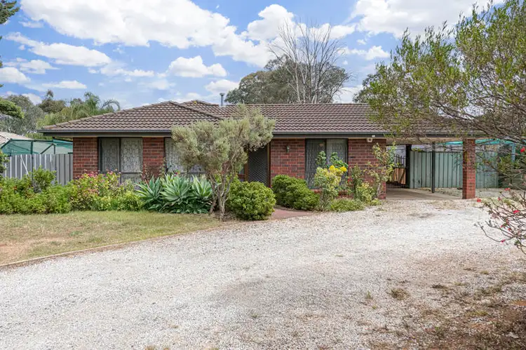 Second view of Homely house listing, 10 Harkness Street, Willaston SA 5118
