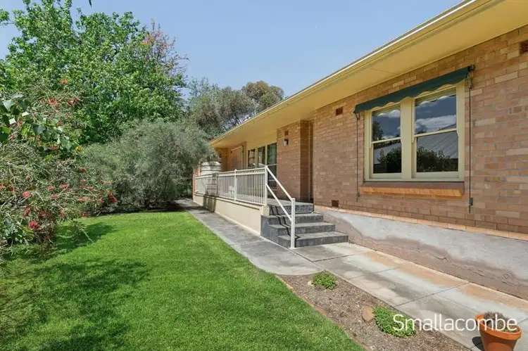 31A Brigalow Avenue, Kensington Gardens SA 5068