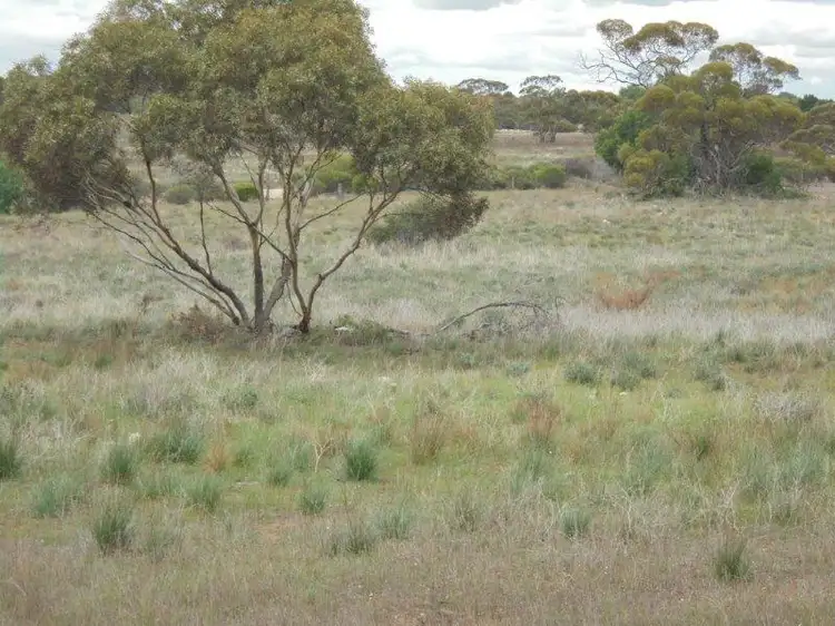 Main view of Homely land listing, Lot 11 Greenshields Road, Younghusband SA 5238