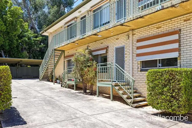 Fourth view of Homely unit listing, 3/267 Belair Road, Torrens Park SA 5062
