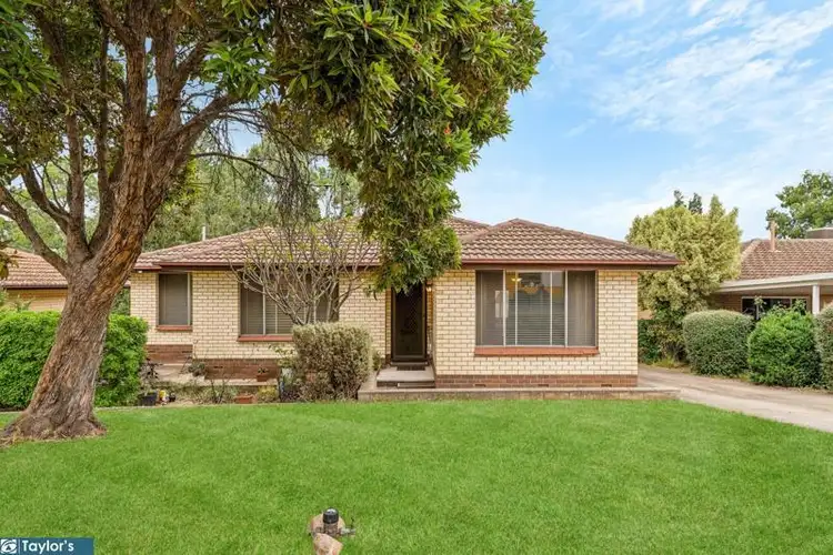 15 Clyde Street, Modbury SA 5092