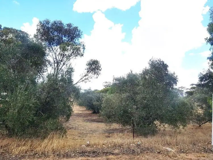 Third view of Homely land listing, 68 Ranfurly Street, Moora WA 6510