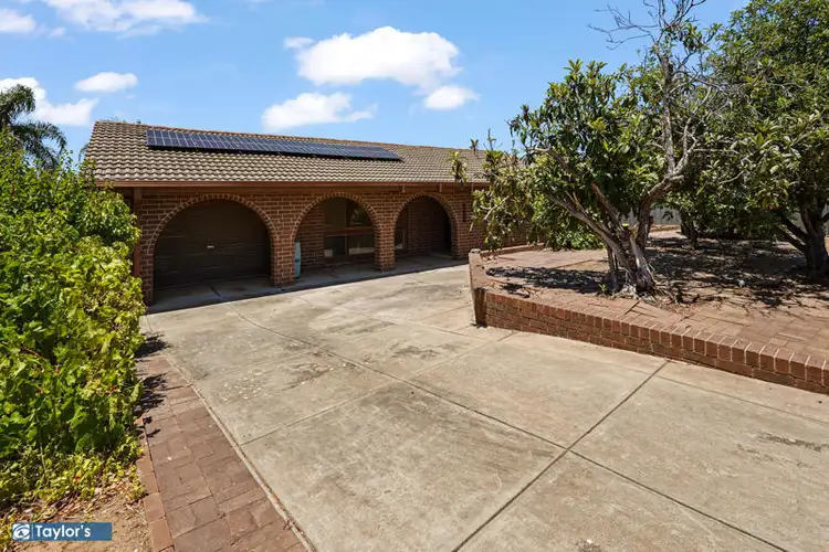 3 Swallow Avenue, Modbury Heights SA 5092