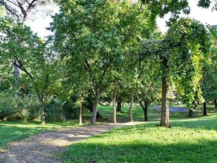 Sixth view of Homely land listing, Lot 80 Wattle Grove, Riddells Creek VIC 3431