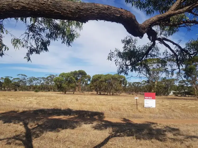 LOT 48, 65 Drummond Street, Moora WA 6510