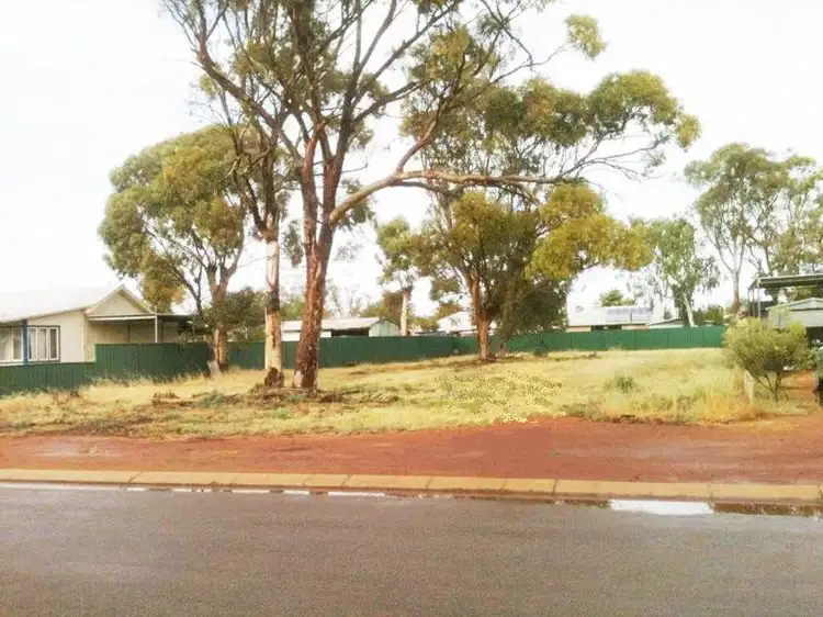 LOT 183, 60 Carter Street, Three Springs WA 6519