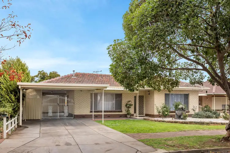 14 Pitt Street, Paradise SA 5075