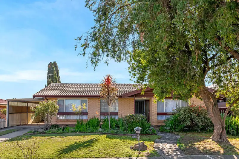 Main view of Homely house listing, 31 The Parade, Holden Hill SA 5088
