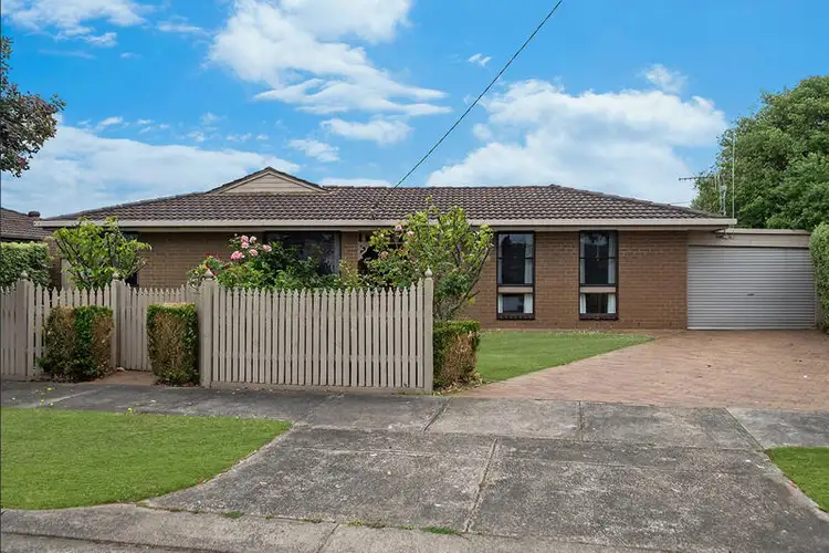 34 Swan Street