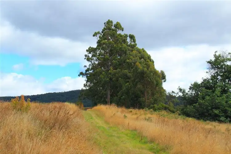Fifth view of Homely land listing, 153985/2 Narrows Road, Strathblane TAS 7109