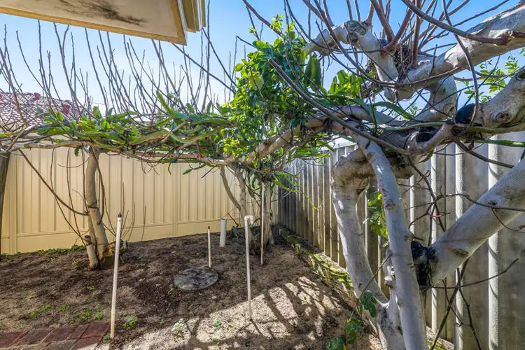 Fifth view of Homely house listing, 1/3 Ardath Court, Dianella WA 6059