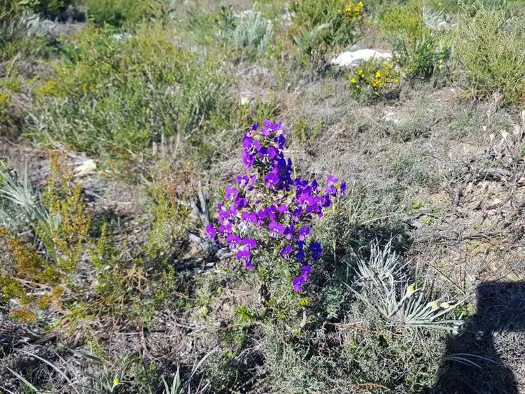 Third view of Homely land listing, 67 River Loop, Jurien Bay WA 6516