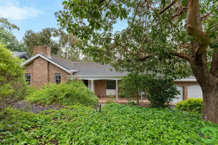 12 Shepherd Court, Coromandel Valley SA 5051