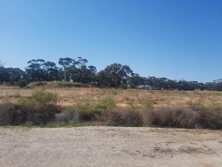 166 (L) WOOLAWA Street, Moora WA 6510